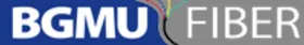 Bgmu Fiber logo