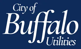Buffalo Fiber logo
