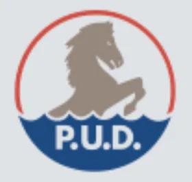 Chelan County PUD logo