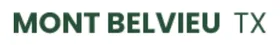 Mb Link logo