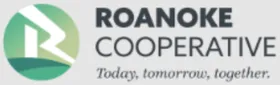 Roanoke Connect logo