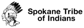Sp'q'n'i? Broadband Services logo
