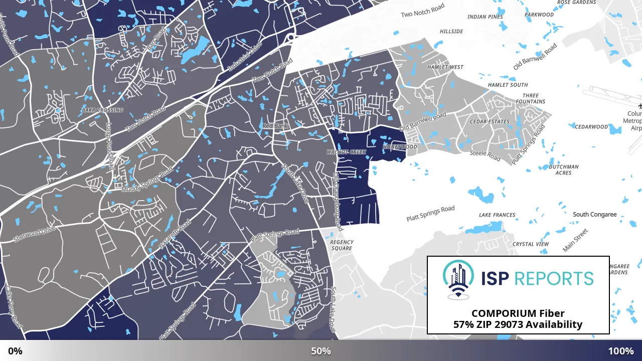 29073, SC map of internet availability