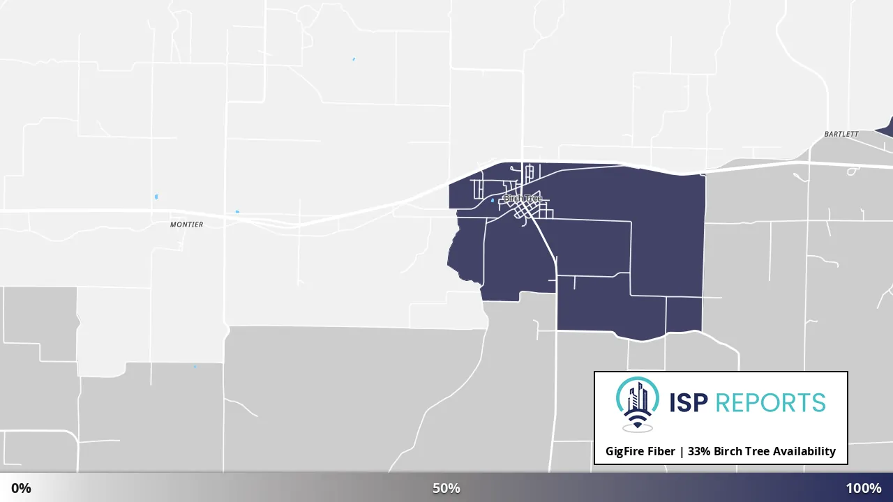 Birch Tree, MO map of internet availability
