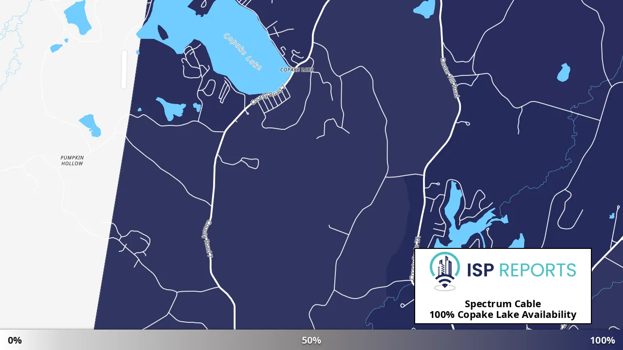 Copake Lake, NY map of internet availability