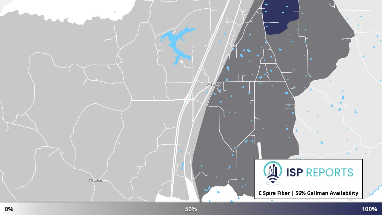 Gallman, MS map of internet availability