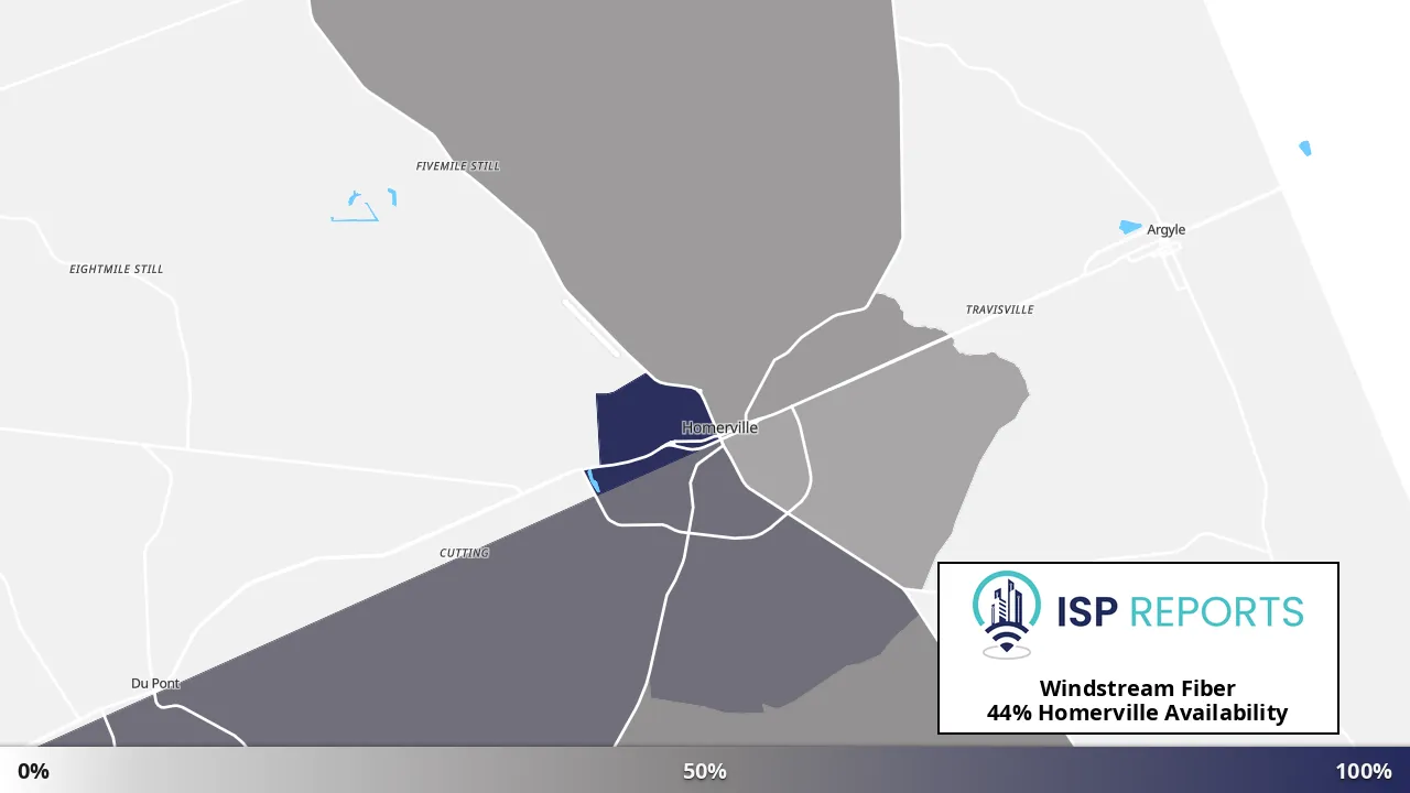 Homerville, GA map of internet availability