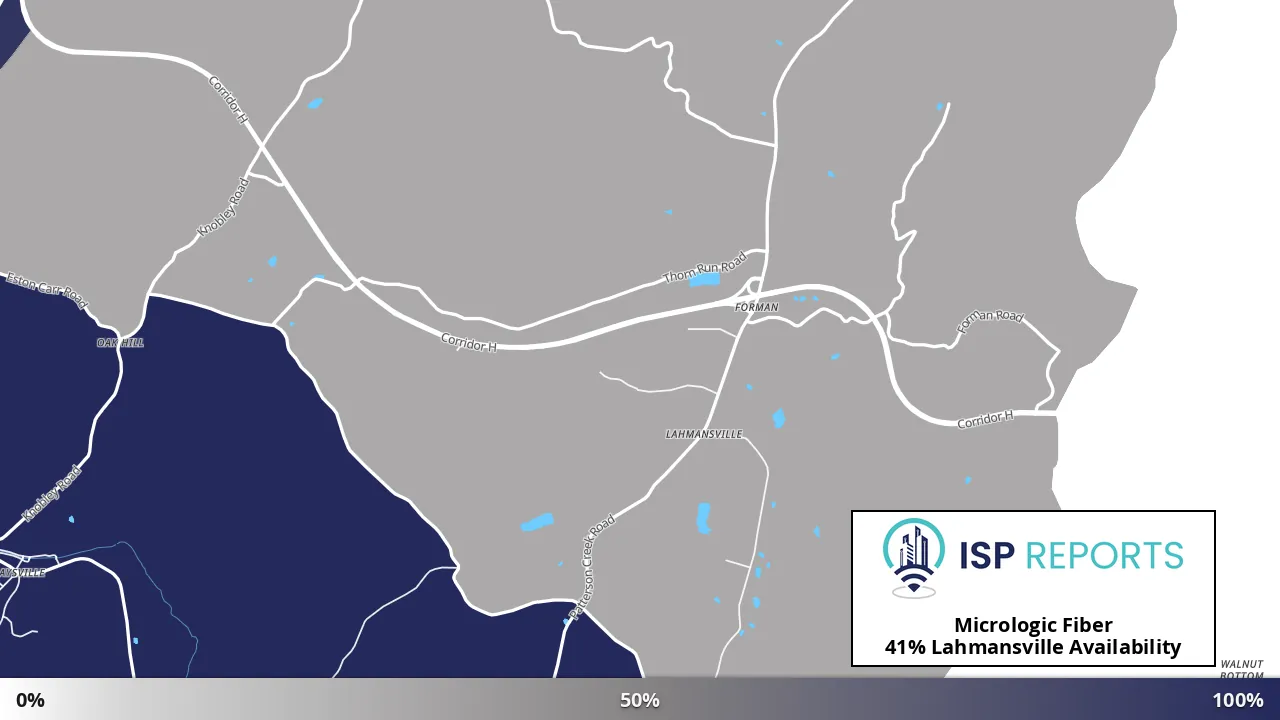 Lahmansville, WV map of internet availability