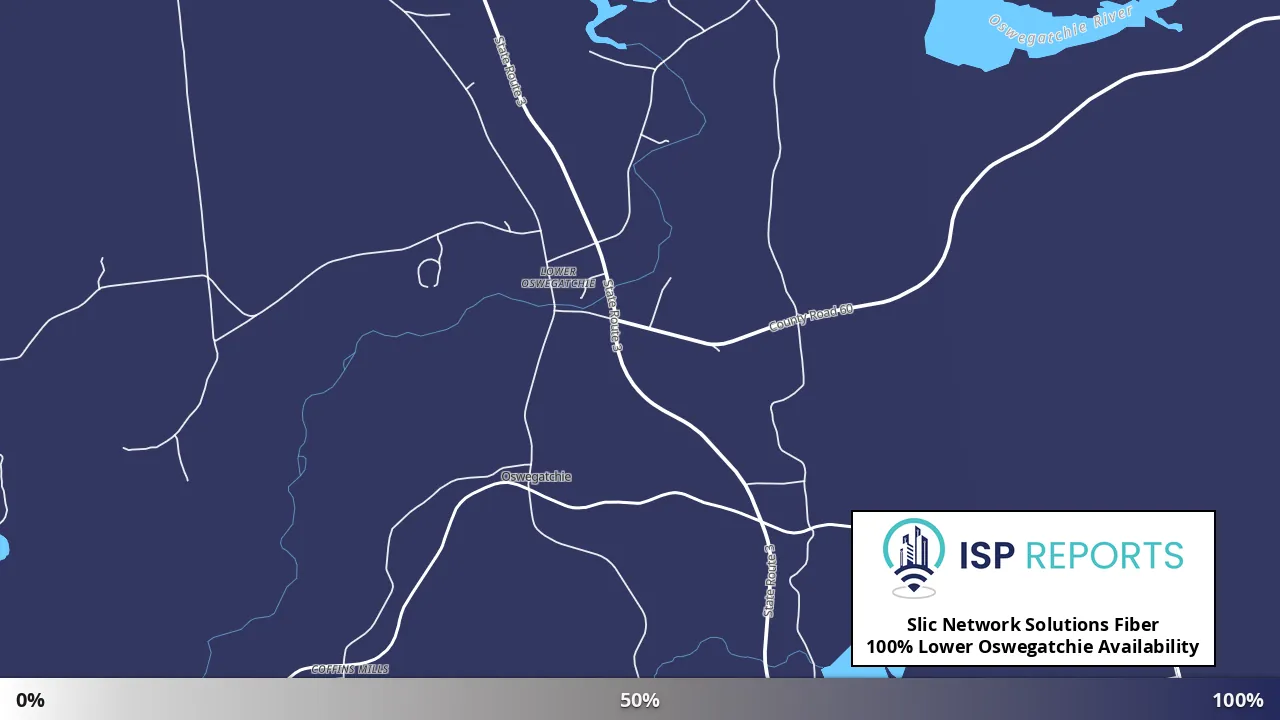 Lower Oswegatchie, NY map of internet availability