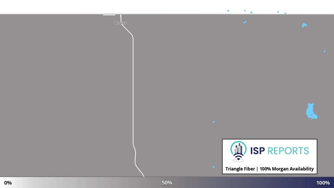 Morgan, MT map of internet availability