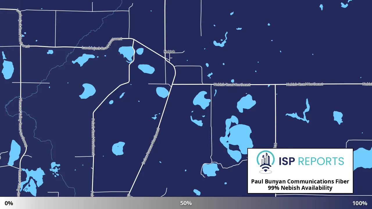 Nebish, MN map of internet availability