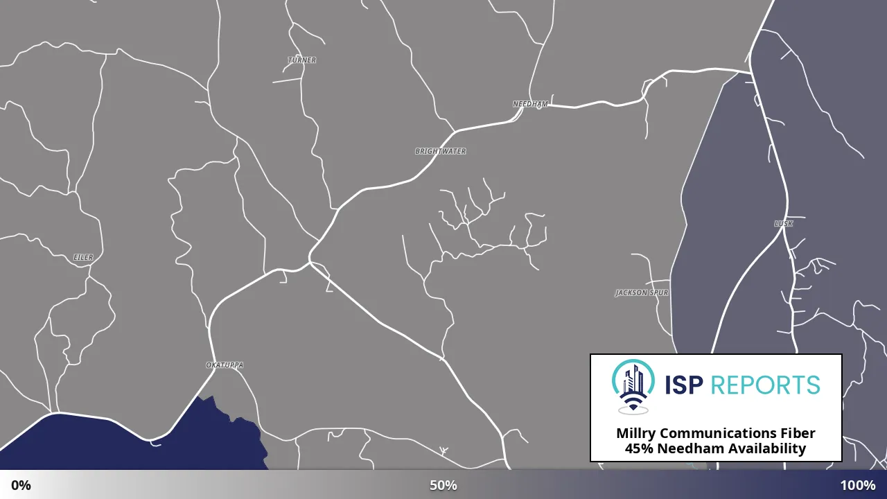 Needham, AL map of internet availability