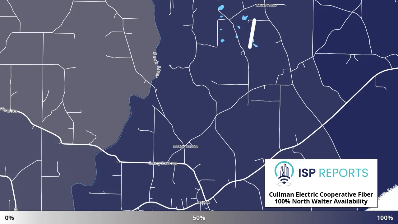 North Walter, AL map of internet availability