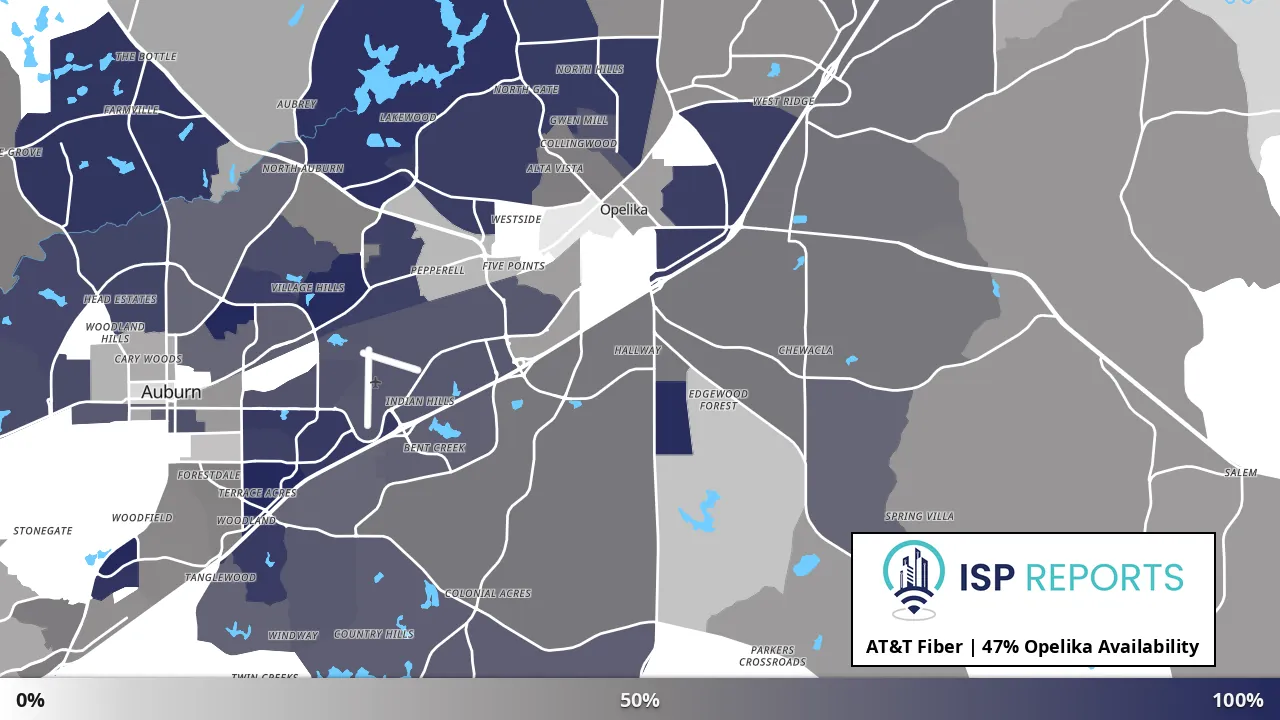 Opelika, AL map of internet availability