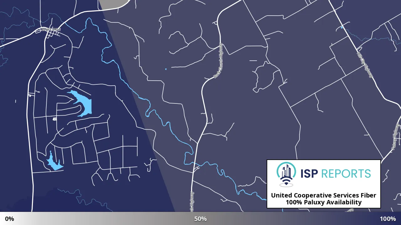 Paluxy, TX map of internet availability