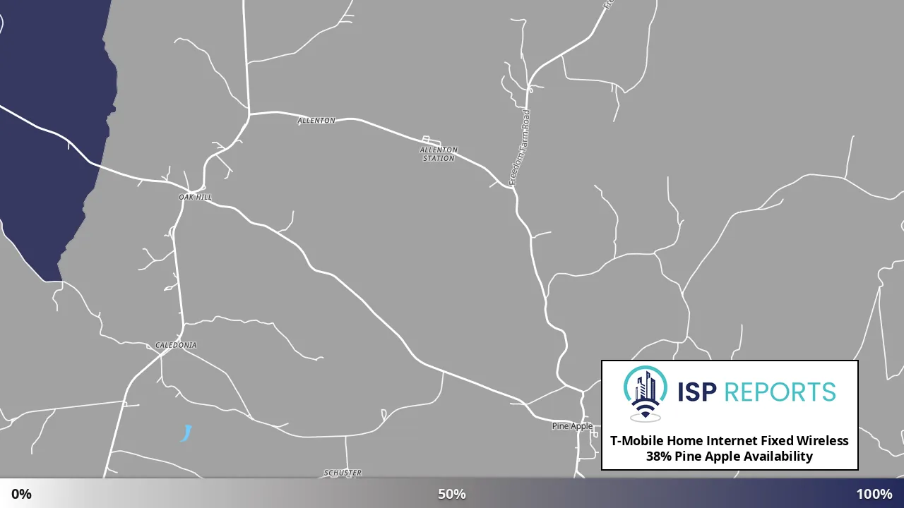 Pine Apple, AL map of internet availability