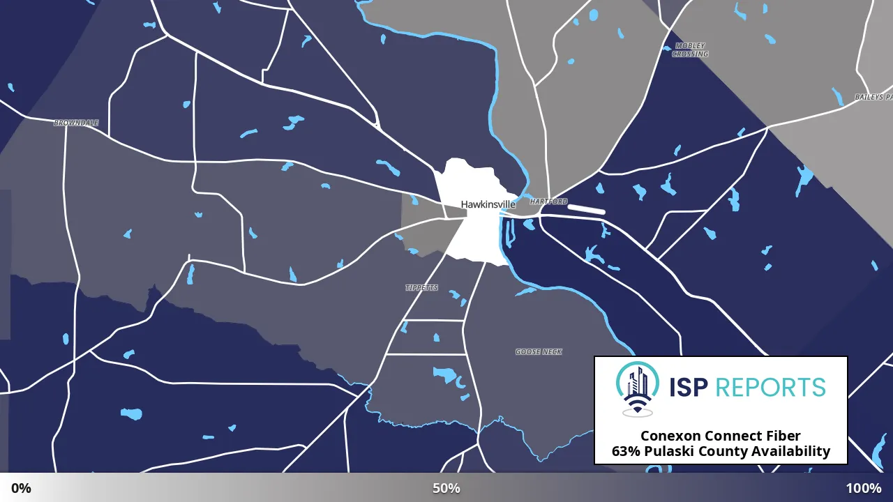 Pulaski County, GA map of internet availability