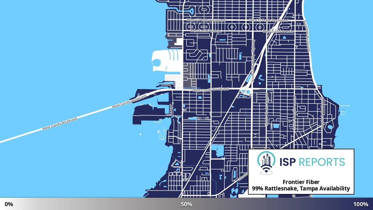Rattlesnake, Tampa, FL map of internet availability