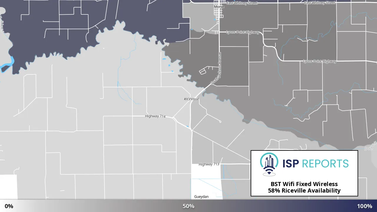 Riceville, LA map of internet availability