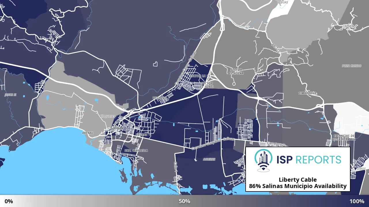 Salinas Municipio, PR map of internet availability