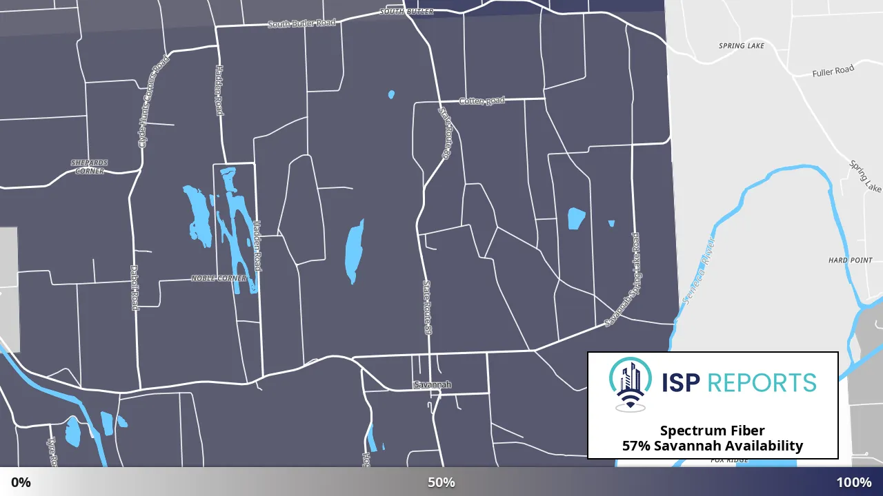 Savannah, NY map of internet availability
