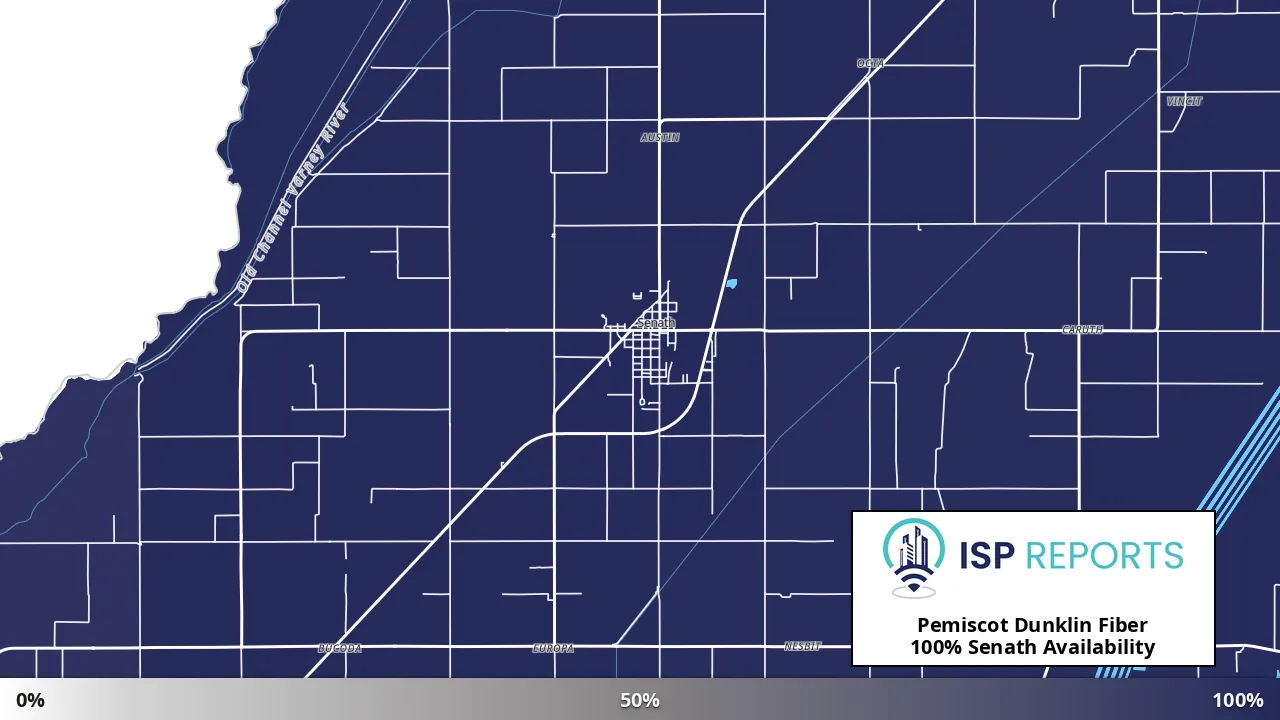 Senath, MO map of internet availability
