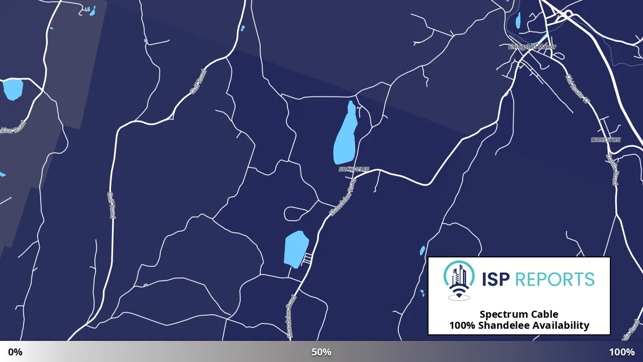 Shandelee, NY map of internet availability