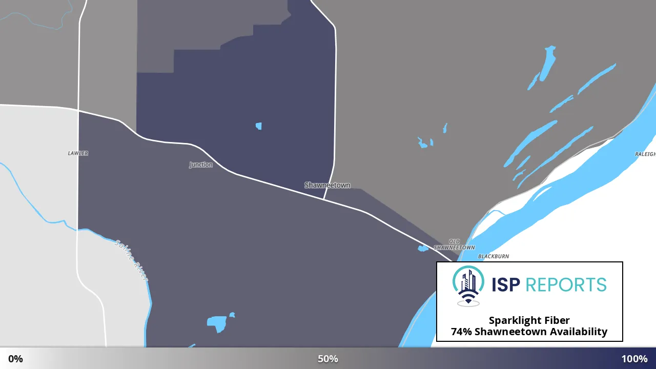 Shawneetown, IL map of internet availability
