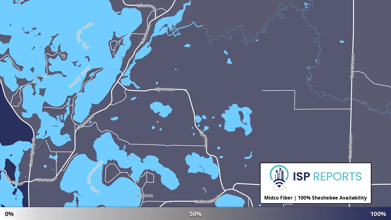 Sheshebee, MN map of internet availability