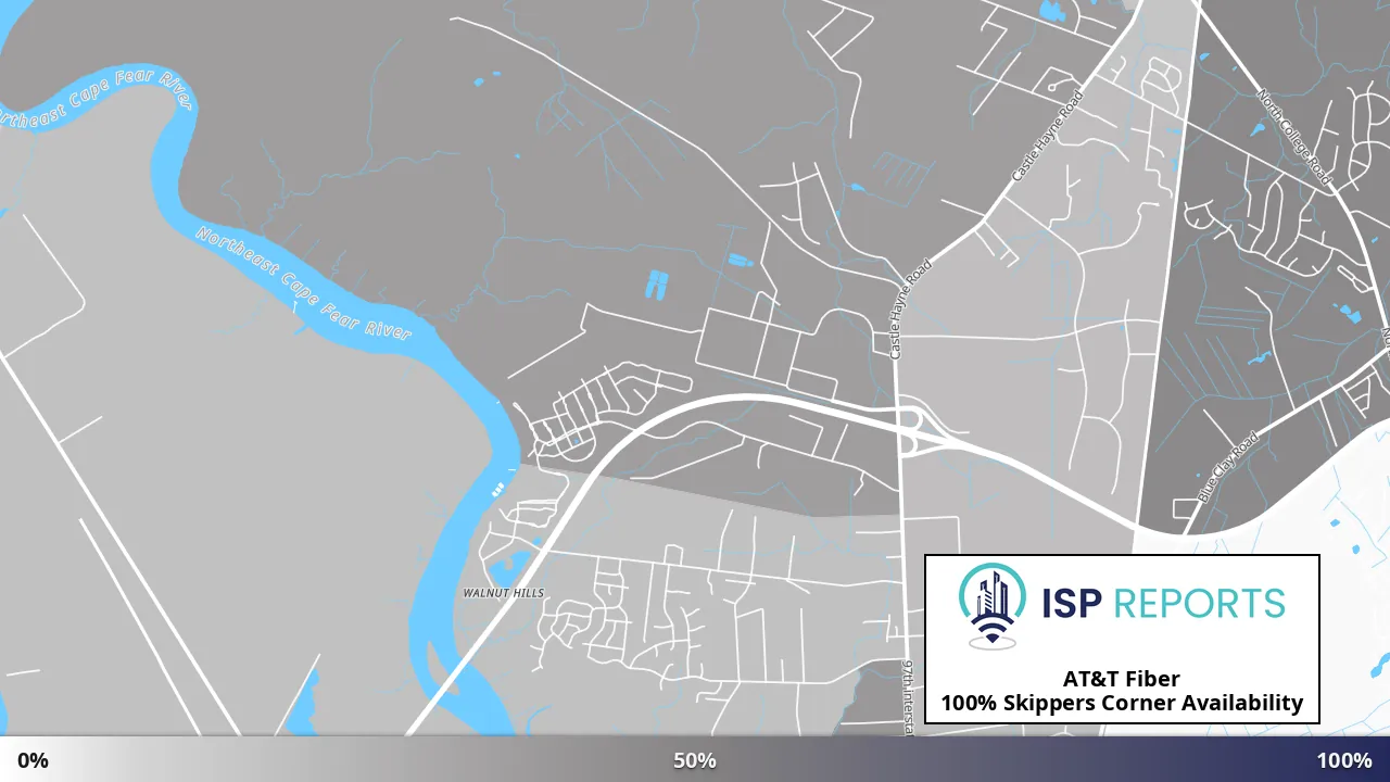 Skippers Corner, NC map of internet availability