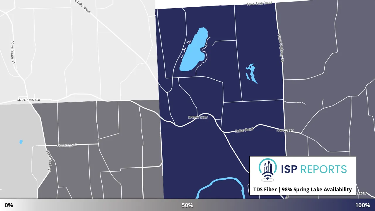 Spring Lake, NY map of internet availability