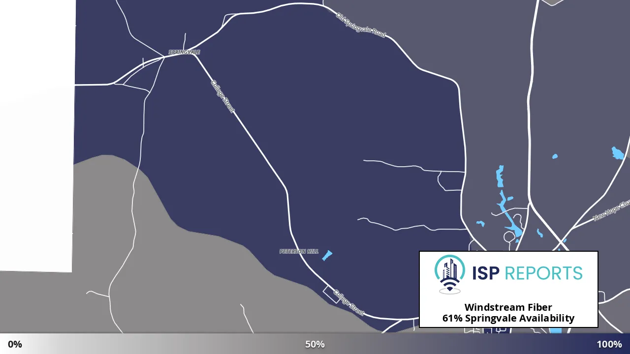 Springvale, GA map of internet availability