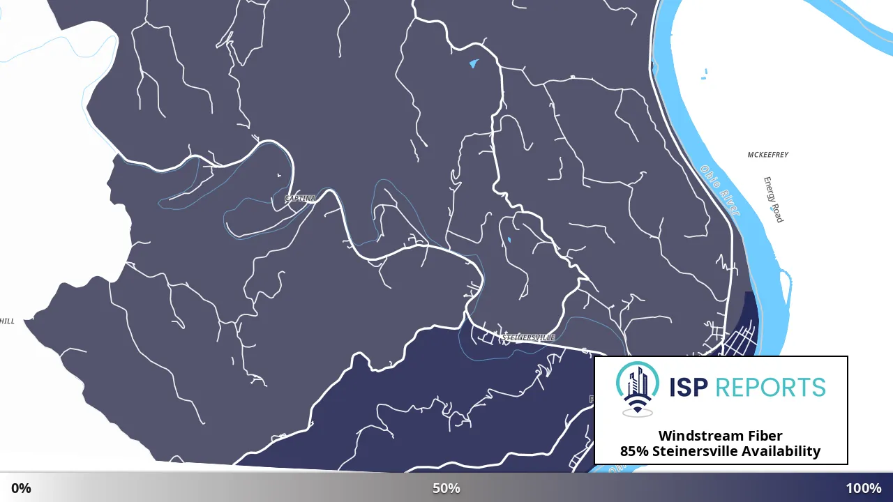 Steinersville, OH map of internet availability