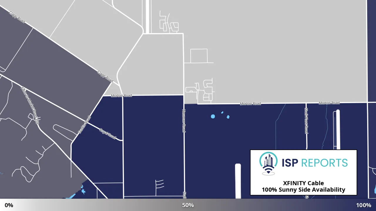 Sunny Side, TX map of internet availability