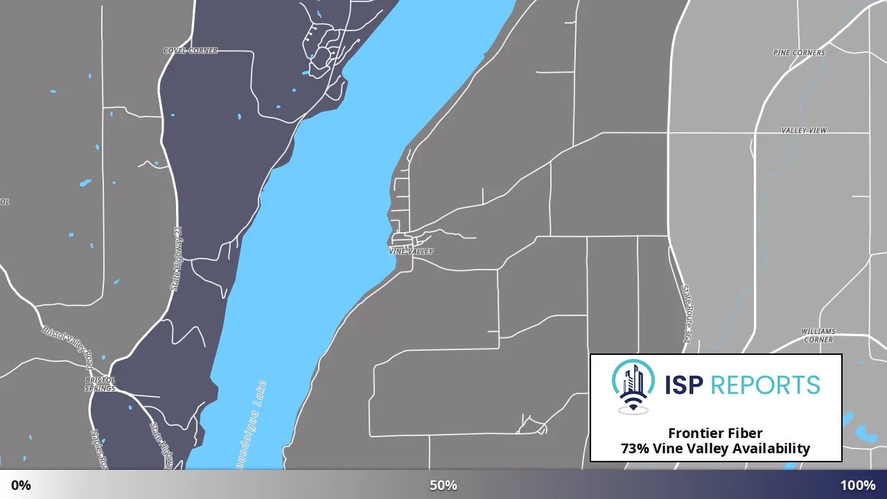 Vine Valley, NY map of internet availability