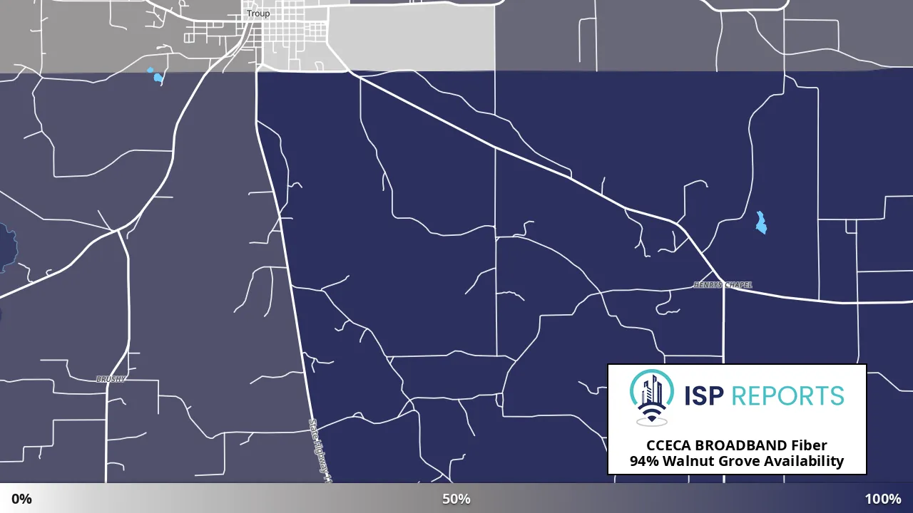 Walnut Grove, TX map of internet availability